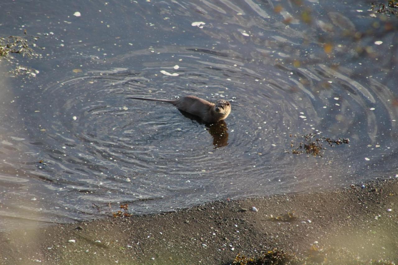 Air An Oir - Skye Self Catering Villa Portree Eksteriør bilde